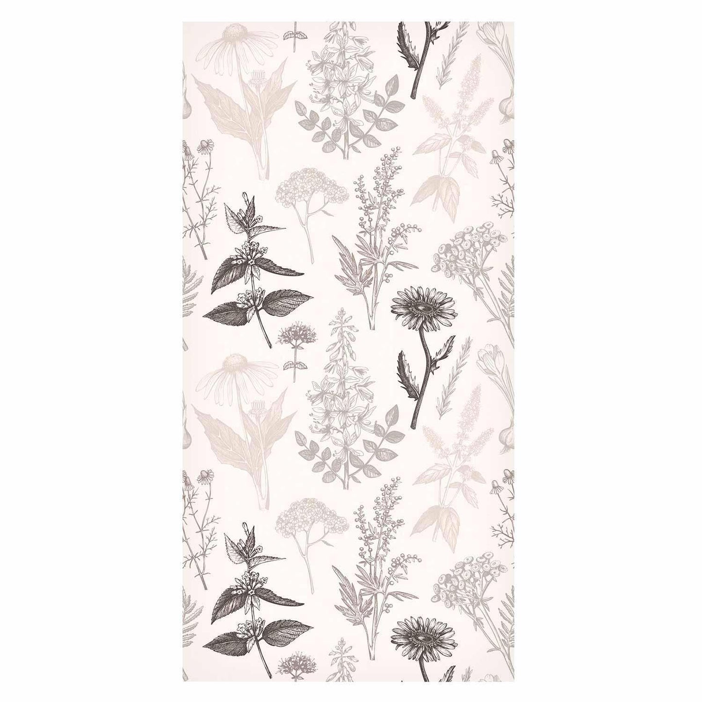 Tapete - Flowers and herbs in warm greys