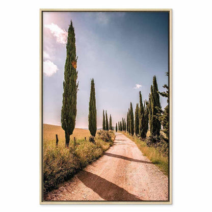 Leinwandbild - Italian cypresses (1 Part) Vertical