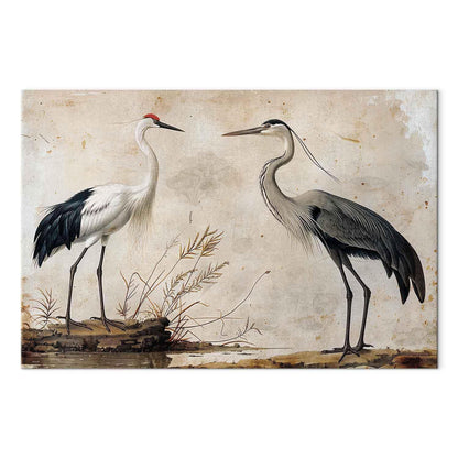 Leinwandbild - Birds from an old engraving - vintage-style illustration depicting a heron and a crane