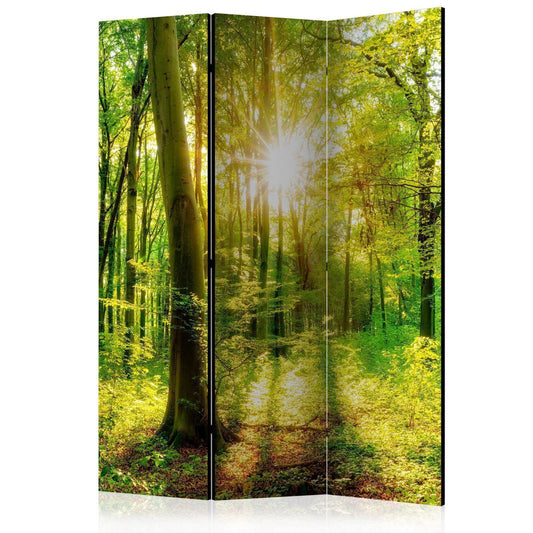 Paravent - Forest Rays Artgeist