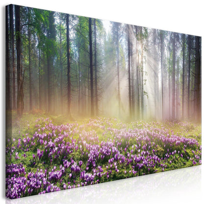 Wandbild Lila Blumenwiese – Stimmungsvolle Wanddeko mit Blumenmotiv