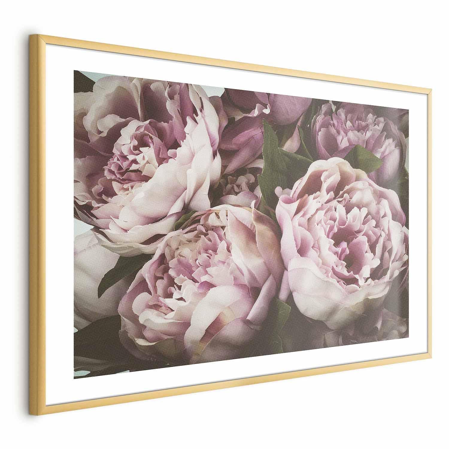 Poster - Pink Peonies Artgeist