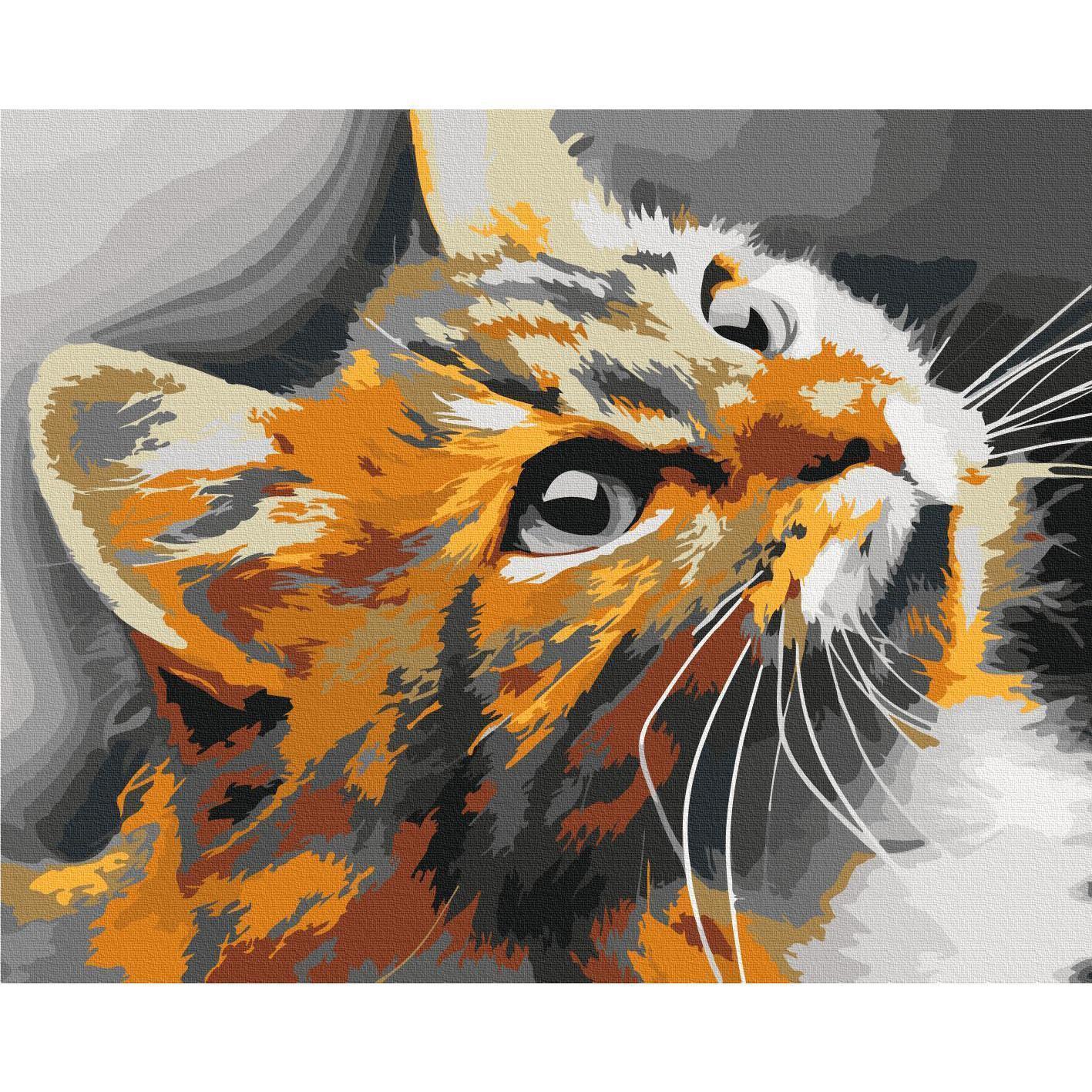 Malen nach Zahlen - Red Cat