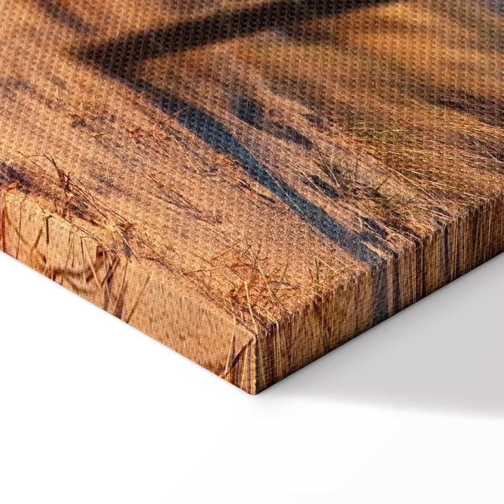 Leinwandbild - Sunset Path