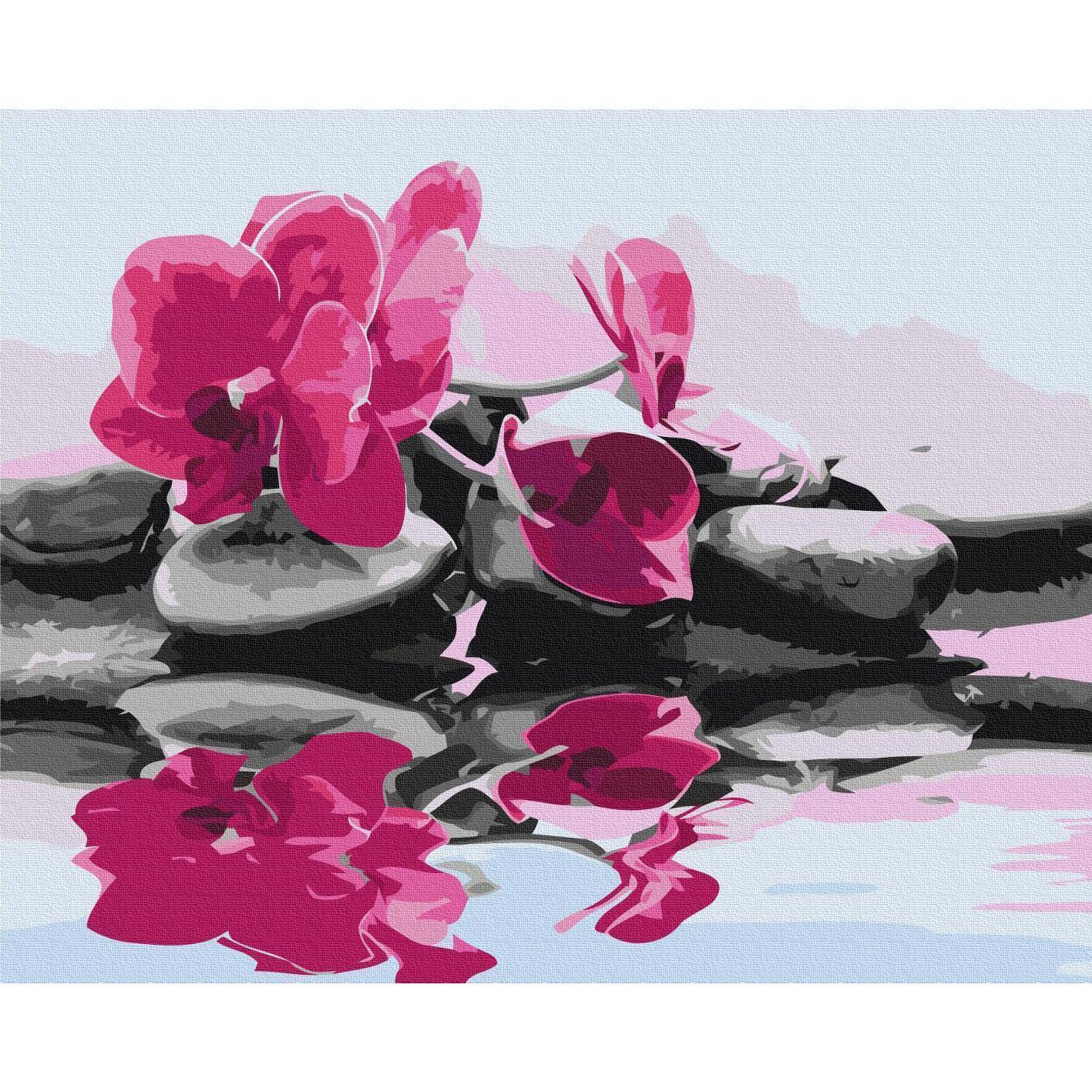 Malen nach Zahlen - Orchid With Zen Stones (Reflection In The Water)