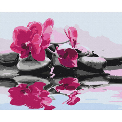 Malen nach Zahlen - Orchid With Zen Stones (Reflection In The Water)