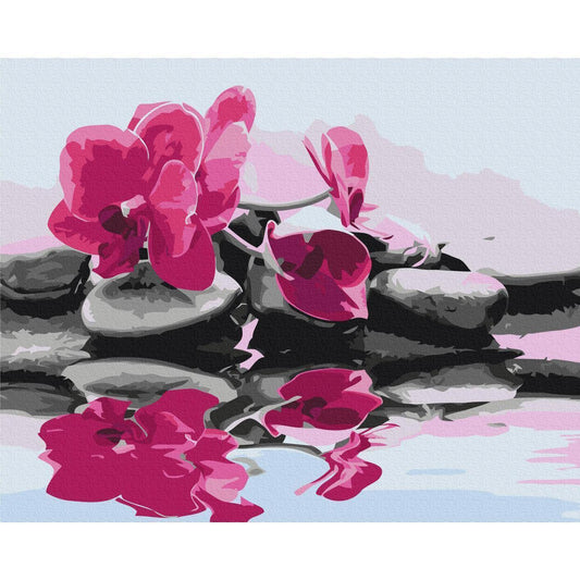 Malen nach Zahlen - Orchid With Zen Stones (Reflection In The Water)