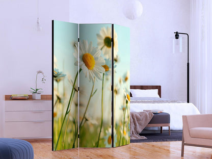 Paravent - Daisies - spring meadow Artgeist