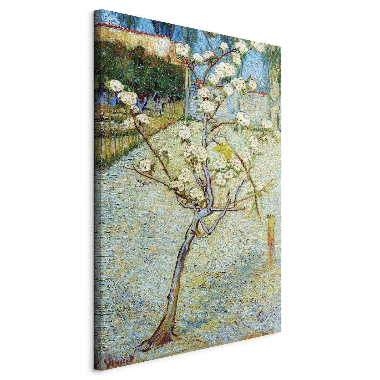 Leinwandbild - Blossoming Pear Tree Artgeist