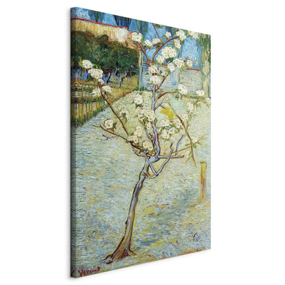 Leinwandbild - Blossoming Pear Tree Artgeist