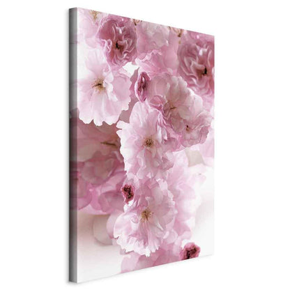 Leinwandbild - Flowery Glamour (1-part) - Flower Petals in Shades of Pink