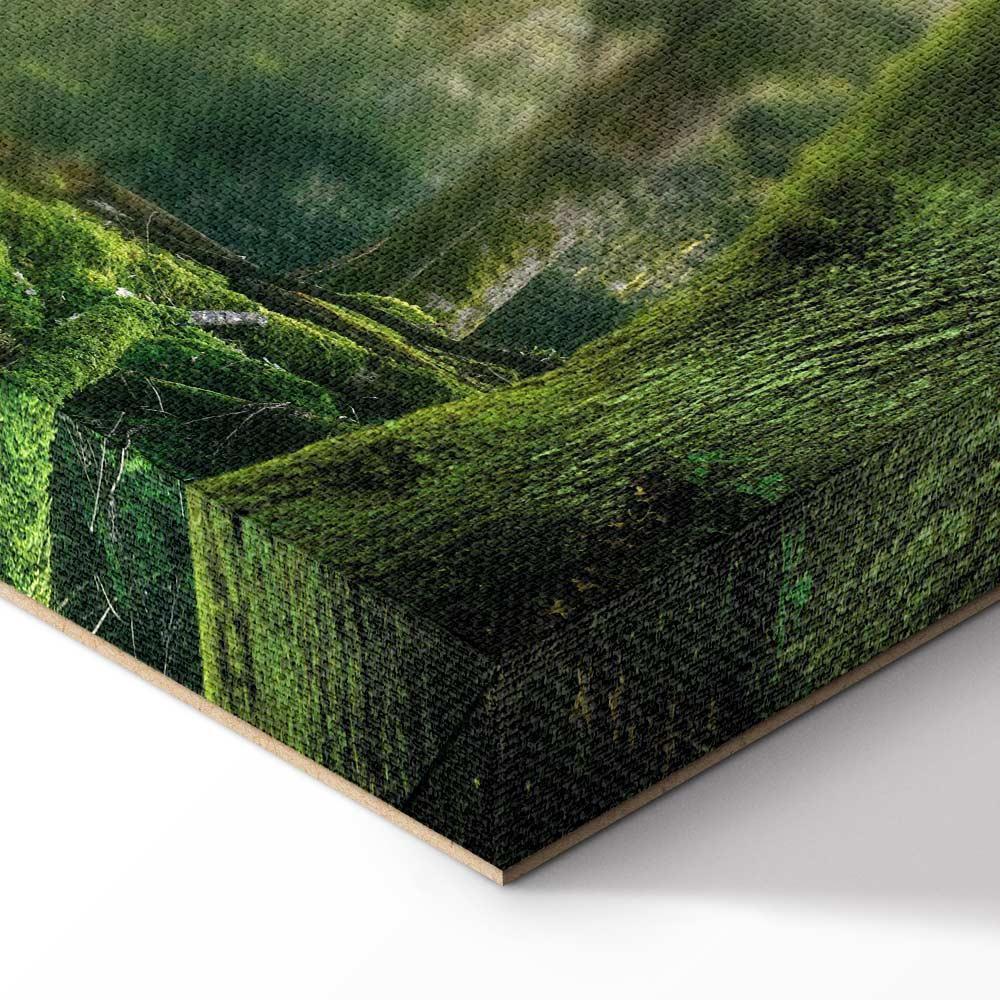 Leinwandbild - The Beauty of the Forest