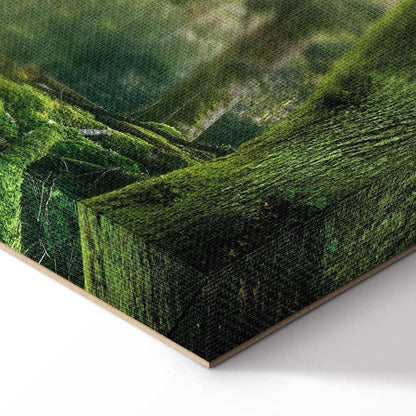 Leinwandbild - The Beauty of the Forest