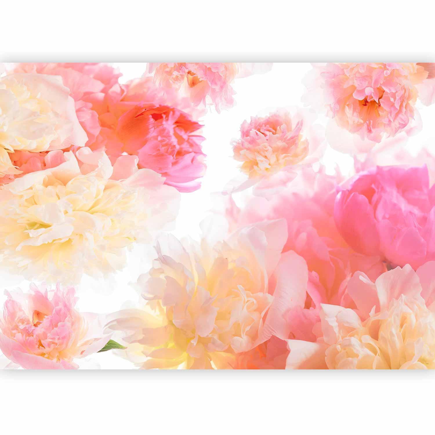 Blumentapete in Rosé und Creme

