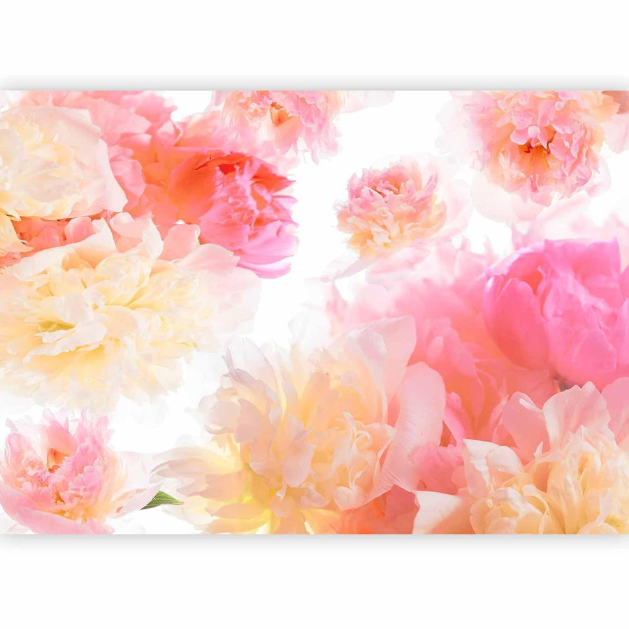 Fototapete - Pastel peonies Artgeist