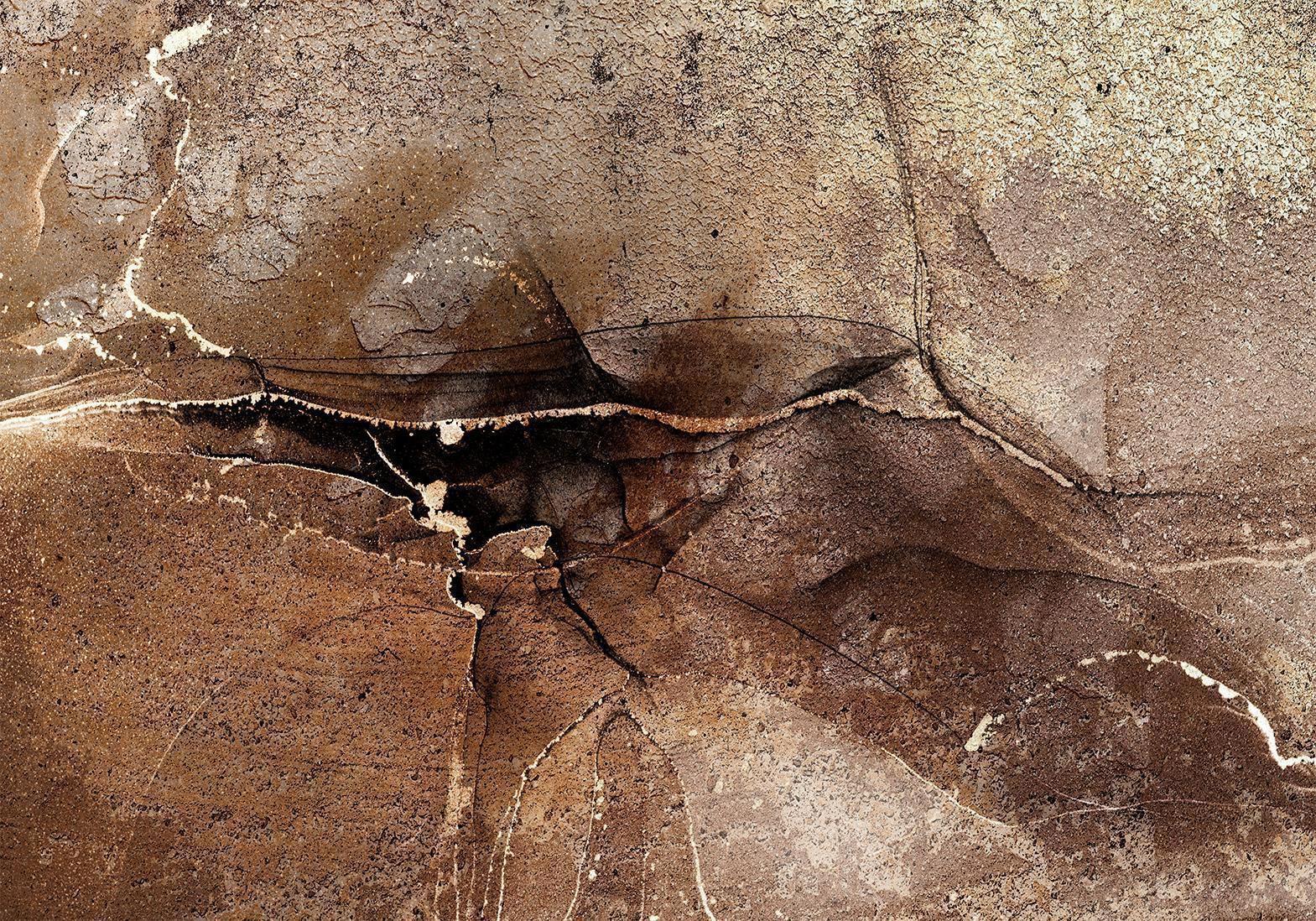 Fototapete - Rock abstraction - brown and beige pattern in the style of cracked stone Artgeist