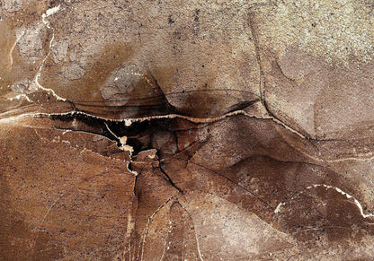 Fototapete - Rock abstraction - brown and beige pattern in the style of cracked stone Artgeist