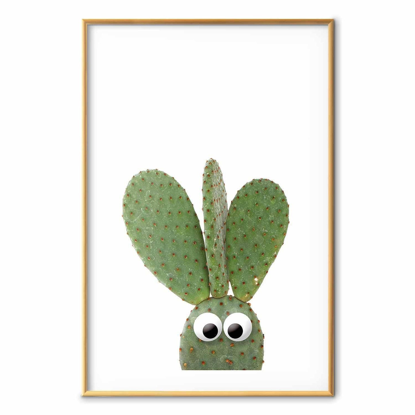 Poster - Eared Cactus