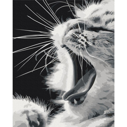 Malen nach Zahlen - Yawning Kitten