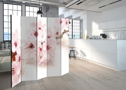 Paravent - Cherry Blossom II Artgeist