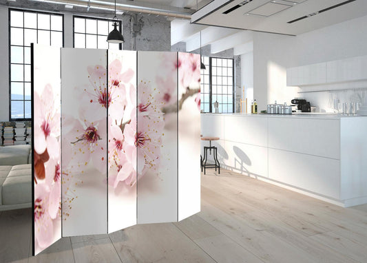 Paravent - Cherry Blossom II Artgeist