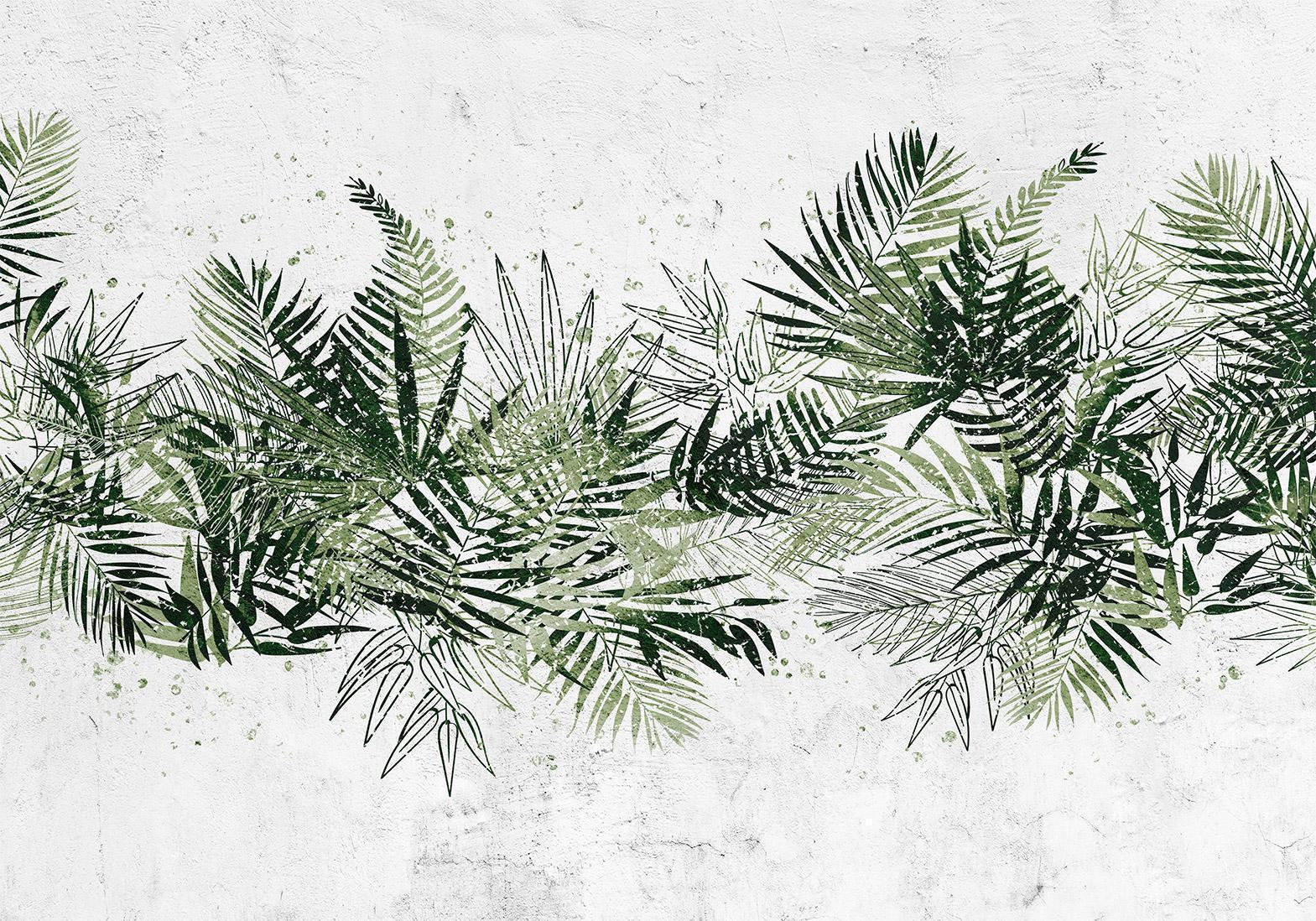 Fototapete - Jungle and green plume - large tropical leaves on a white background Artgeist