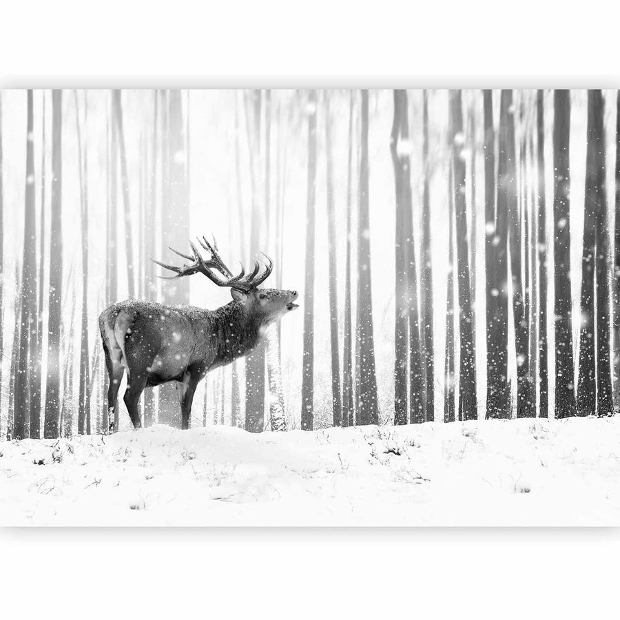 Elegante Naturtapete in ruhigem Monochrom-Design

