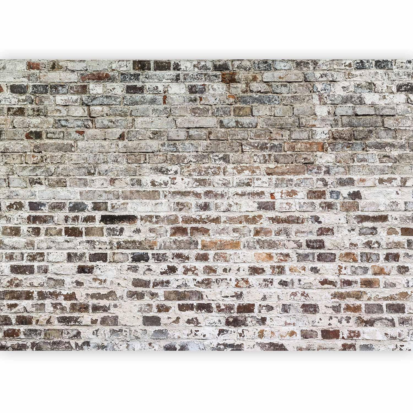 Fototapete - Old Walls