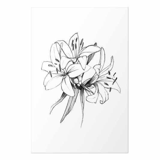Poster - Drawn Flowers