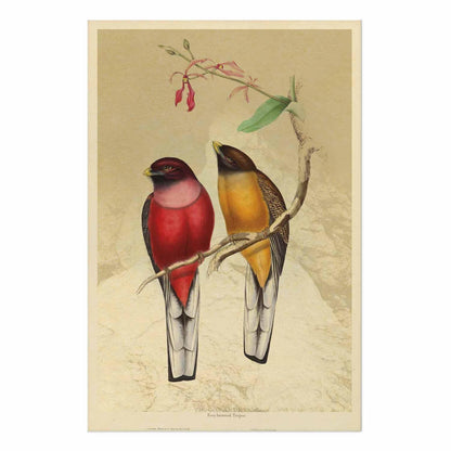 Poster - Birds on a Branch