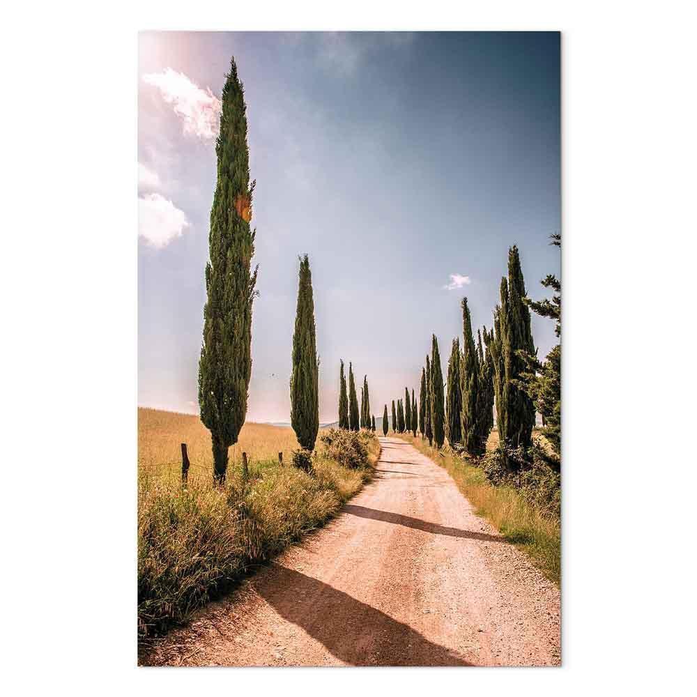 Leinwandbild - Italian cypresses (1 Part) Vertical