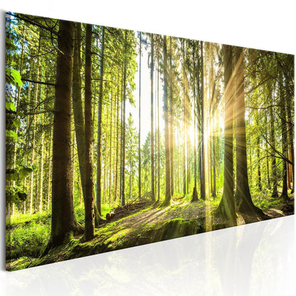 Leinwandbild „Tageslicht“ – Sanftes Sonnenlicht trifft Natur