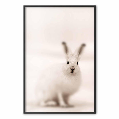 Poster - Fearful Look