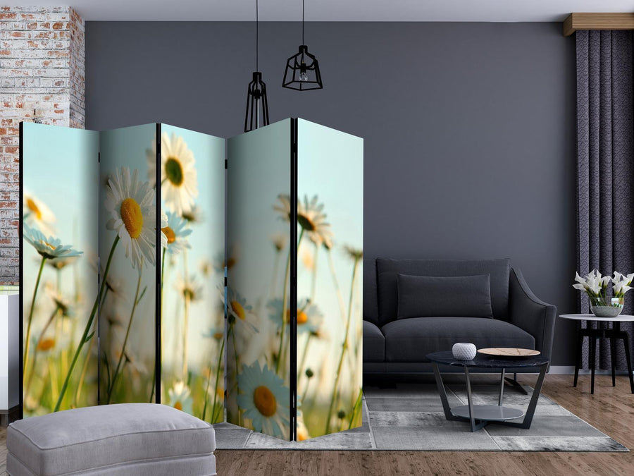 Paravent - Daisies - spring meadow II Artgeist