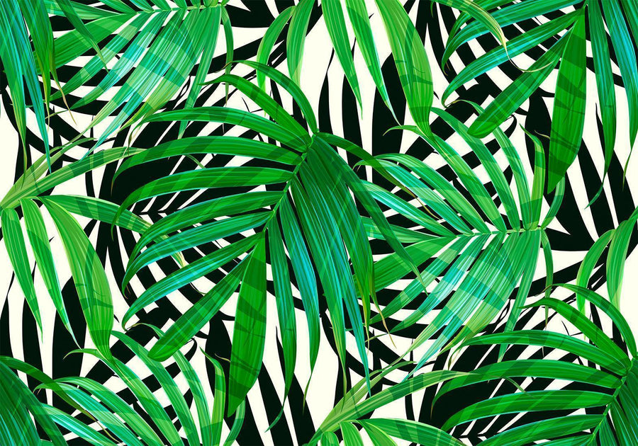 Fototapete - Tropical Leaves Artgeist