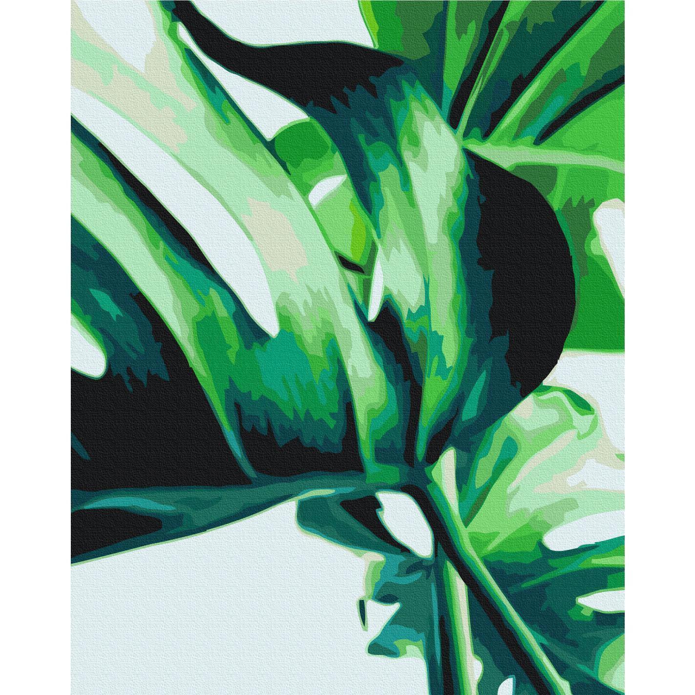 Malen nach Zahlen - Monstera Adansonii