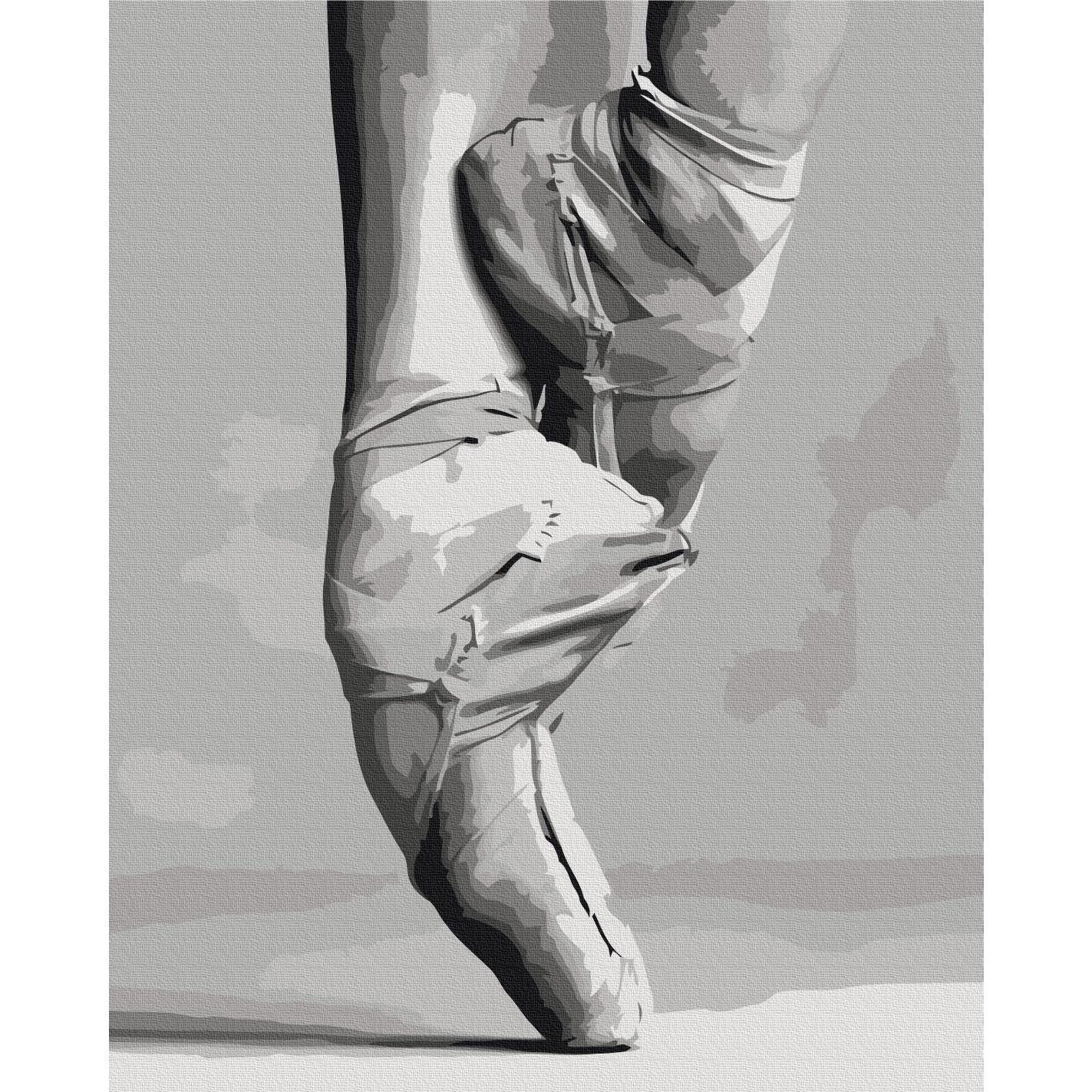 Malen nach Zahlen - Ballet Shoes