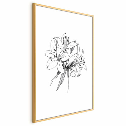 Poster - Drawn Flowers