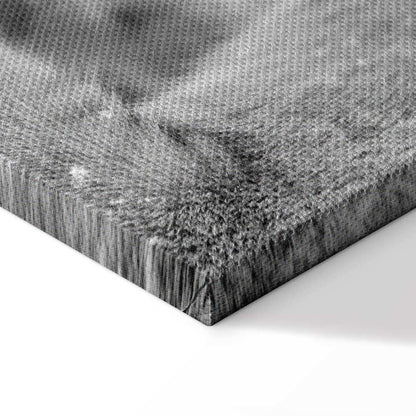 Leinwandbild - Lion's Love