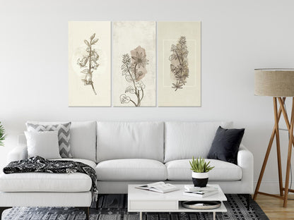 Leinwandbild - Herbarium (3 Parts)