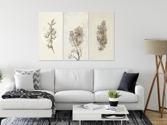 Leinwandbild - Herbarium (3 Parts)