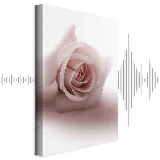 Leinwandbild - Floral Glamour Glow (1-part) - Delicate and Pastel Pink Rose