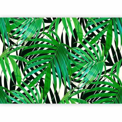Fototapete - Tropical Leaves Artgeist