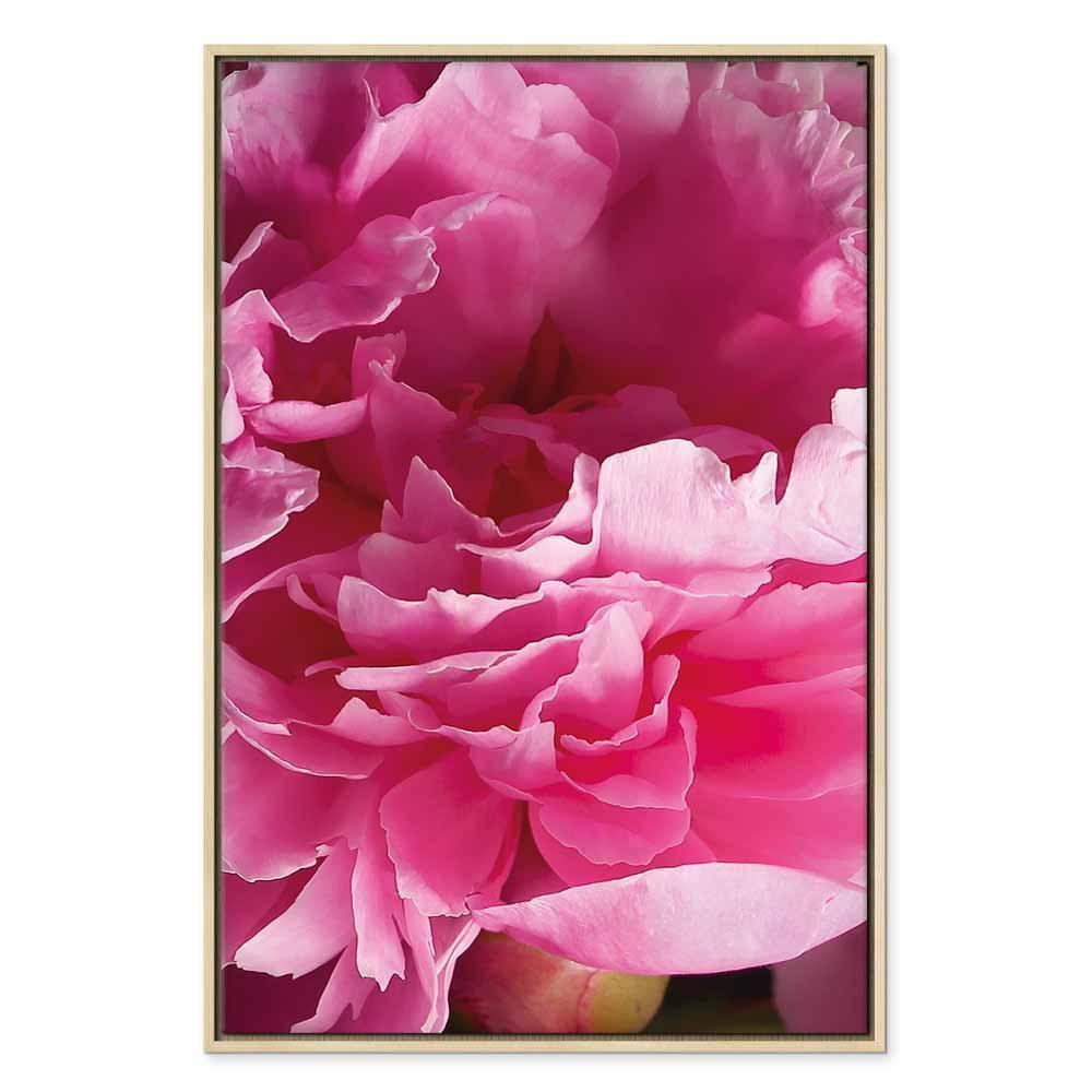 Leinwandbild - Blossom of Beauty (1-part) - Pink Peony Flower Embraced by Nature