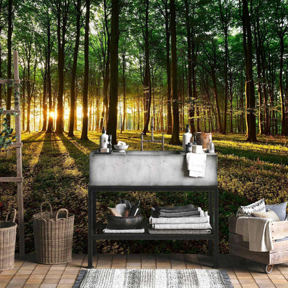 Fototapete - Mystical Morning