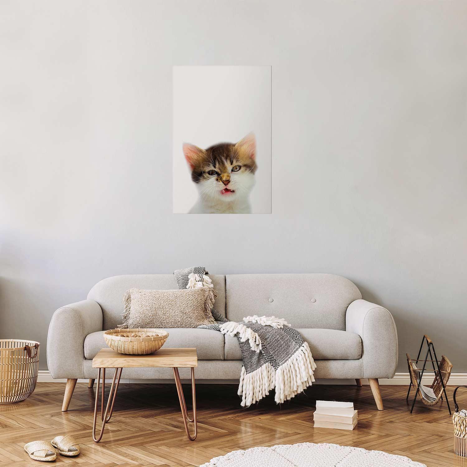 Poster - Annoyed Cat Artgeist
