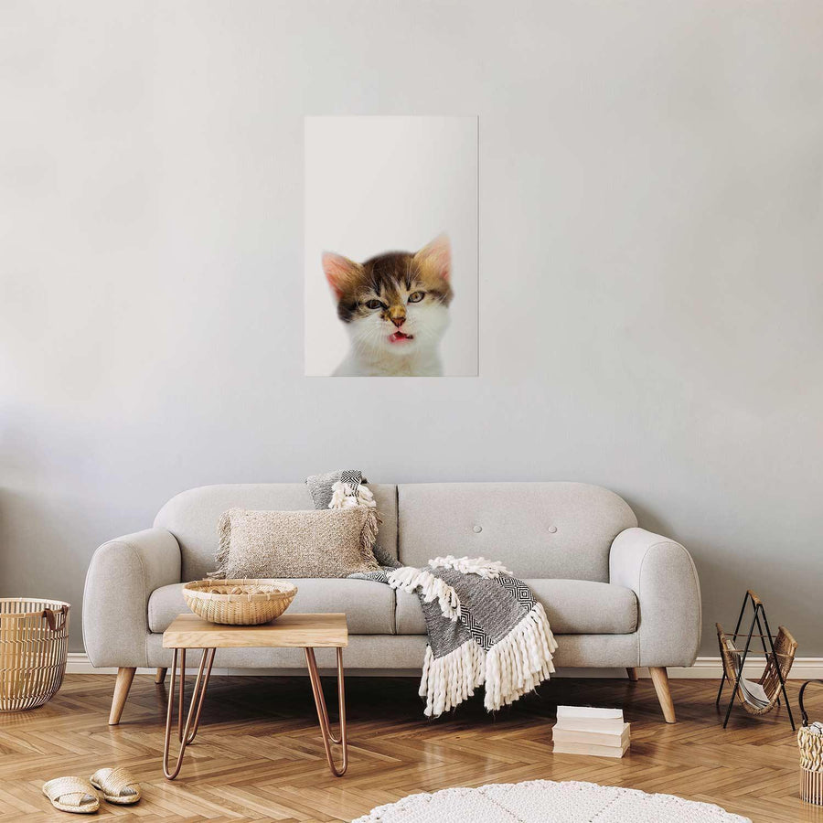 Poster - Annoyed Cat Artgeist