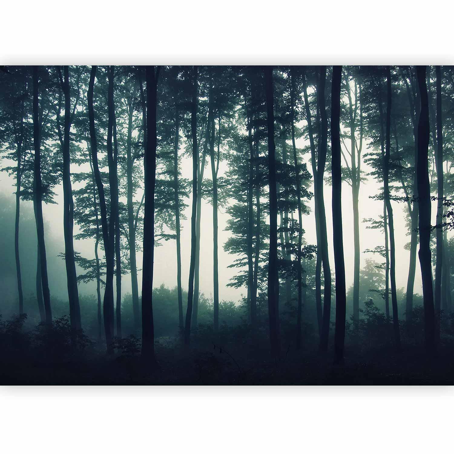Fototapete - Dark Forest Artgeist