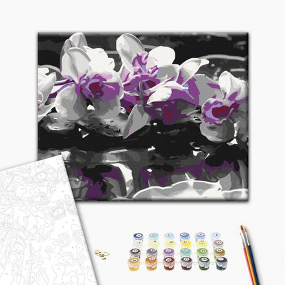 Malen nach Zahlen - Purple Orchid (Black Background & Reflection In The Water)