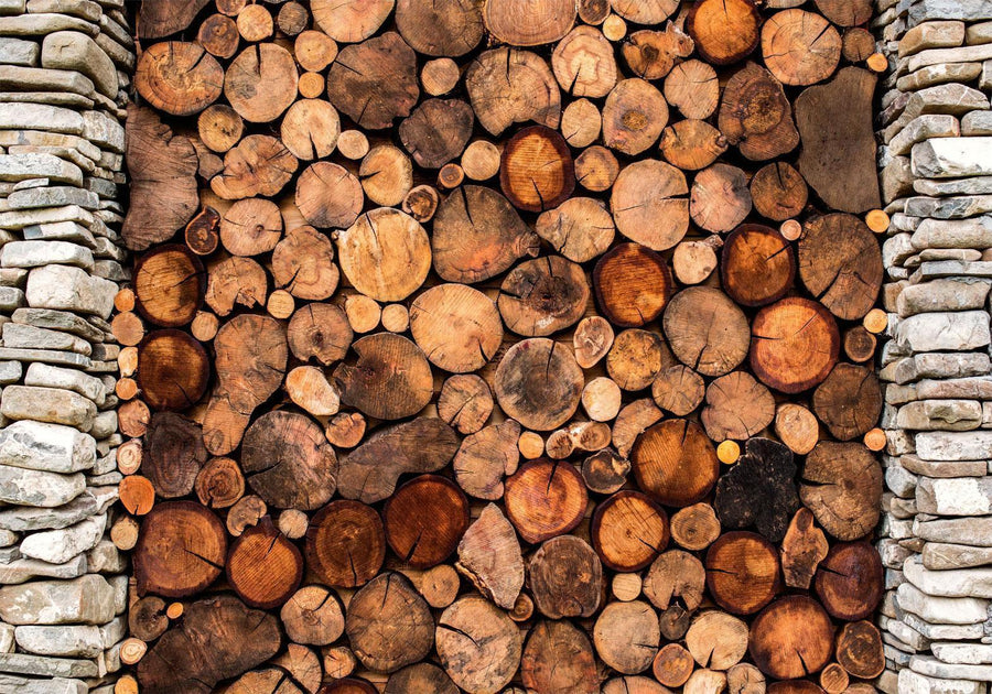 Fototapete - Wooden Gate Artgeist